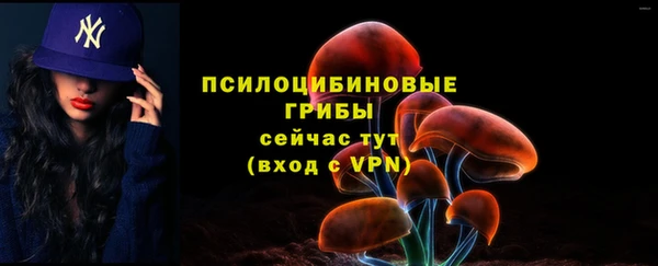эйфоретик Надым